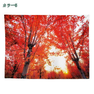 777~OFFN[| ^yXg[ ̐X ܂ڂ낵 t@^W[ O Â u CeA @\  Ǌ|   Ǖz J[e ͗lւ C] z|X^[ CX^f 