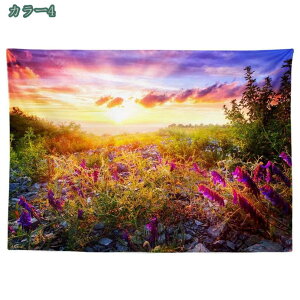 500~OFFN[| ^yXg[  _  ΂̗t A  X Ő   t R iF i IV z|X^[ @\ |X^[ CeA  v[g NVbN wi C 