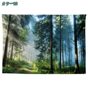 ^yXg[  _  ΂̗t A  X Ő   t R iF i IV z|X^[ @\ |X^[ CeA  v[g NVbN wi C Ǐ g z