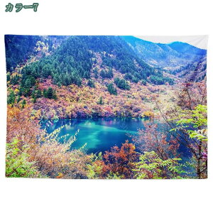 i^yXg[ ̖ƊC ȕǊ| CeA t@ubNpi _ȃA[g @\ ͗lւ  J[e Mtg Vj A[g ƒ 