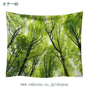 500~OFFN[| X̑ ^yXg[ Ri ̗  Ǌ| z CeA EH[A[g z|X^[ @\  ǂ̏ X X Mtg V bNX 