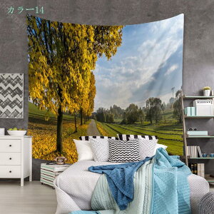 500~OFFN[| ^yXg[  {I } { I X g Be[W AeB[N  e[N wi |X^[  CeA z ډB t@ubN|X^[   