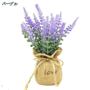 777~OFFN[| tFCNO[ lHϗtA tFCN   CeA v[g lHϗtA  tFCNO[ tFCNϗtA  CeA v[g Ηt lH