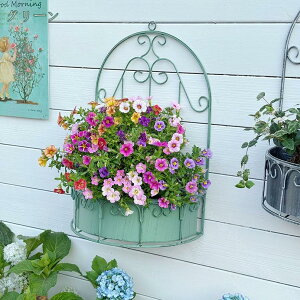 �v�����^�[ �Ǌ|�� ������� �A�C�A�� �t�����[���b�N �K�[�f�� �E�H�[���V�F���t �x�����_ �v�����^�[���b�N �A�C�A���̕Ǌ|���v�����^�[ �z�[�� �n���K�[ ���| �A�ؔ� �K�[�f�j���O �Ǌ|