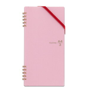 yPLUSz m[g JNG cCO A4×1/3TCY 5mm  RT-650GC(77912) vX