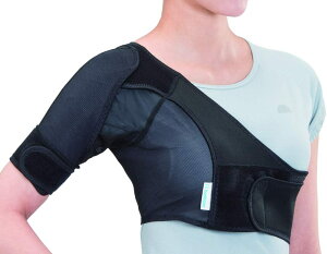 y/|Xgzbonbone T|[^[ V_[ANV ubNL