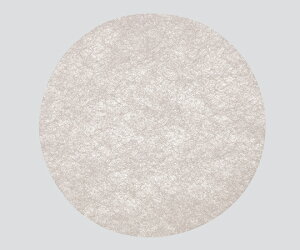 �y�A�Y�����z�����p���o�t�B���^�[IZF251J