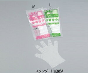 AY Tjg܁@PE@X^_[h@ŋۍρ@M@20 1(20)