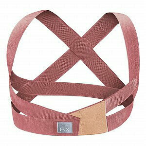 �y�݌Ɉ�|/�����̔��z�G���e�B�[�W�[ MTG �X�^�C���{�b�N�X �r�[�G�b�N�X Style BX �s���N�@�T�C�Y�FL