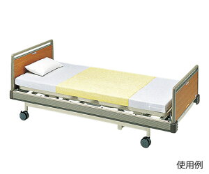 irXiAYj 炩hV[c(^In^Cv) 2919-AS