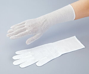 yNx/݌Ɉ|Z[zy݌ɂzV[O[u iCXnh@蔧܁@t[@zCg F