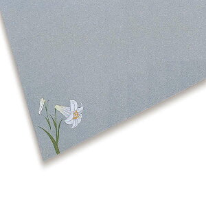 A[ebN(Artecj `bv{[ 4(20g) pEށE Ey[p[