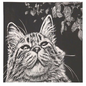 A[ebN(Artecj XNb`{[hgȂ pEށE H|EA[g