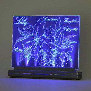 A[ebN(Artecj CgXNb` A5 pEށE H|EA[g