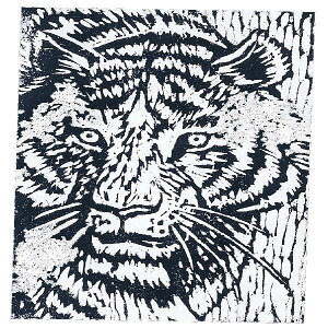 A[ebN(Artecj pŖ B {(200x150x10) pEށE ŉ