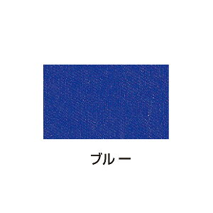 A[ebN(Artecj VNXN[sCL 100cc u[ pEށE GEhE