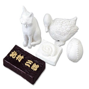 A[ebN(Artecj Sy 120g wt pEށE SyEc