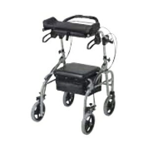 EFp[gi[Y s⏕ԃrbgiV[jʗL WA-2(Vo[) ̔PʁF1