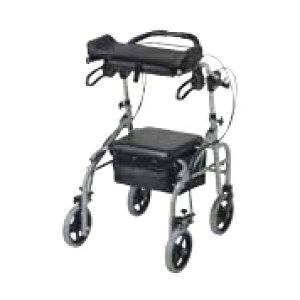 s⏕ԃrbgiWjʗL WA-3(Vo[) ̔PʁF1