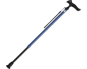 tWz[  邪E@Lk WB3739@u[