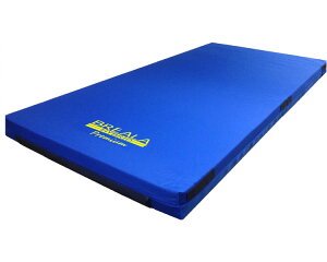 グローバル産業 株式会社 ブレイラプレミアムケアマットレス 830S BR-PCM-830S