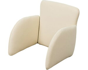 株式会社 オフィス・ラボ 介護椅子用ピタットクッション PT-CS ベージュ