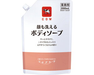 Ό ciOPA@􂦂{fB\[v 2000mL@S₷炮΂̍
