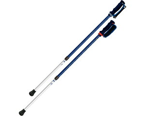  Vim RECX񂵂2{i2{1gj 650202@lCr[