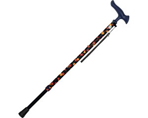 tWz[  邪t@Lk WB5218@ԕlCr[