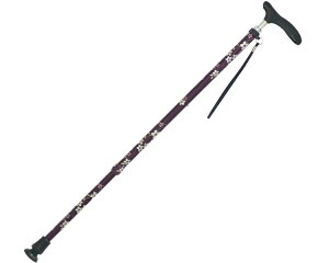 () @Lka@RۃObv CMS-11@GW