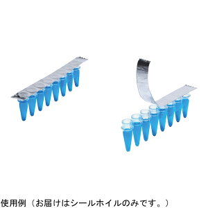 Excel�@Scientific,�@Inc. �A���~�V�[���z�C�� 10.1×81.2�i101�jmm ���ŋ� 300���� F2-CS1X8-300 1��(300����)