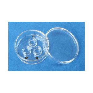 ���e�ʃf�B�b�V�� ��35×12mm 3�E�F���W�t sdc3