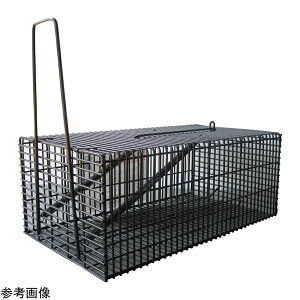 �R���p�� �l�Y�~�߂�� �p�^�n�E�X �A�T�m���Y��