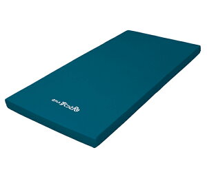 �A���t�@�v����������Re(�h���t�B�����J�o�[�^�C�v) 830×1910×80mm TS-SKT-ReW3R �^�C�J