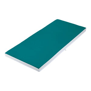 􂦂郀Ȃ̈U}bgXiw̍\j1890×830×80mm u[ HD-HYBL83 irXiAYj