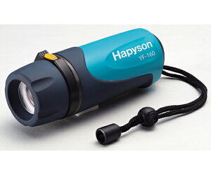 �y10������X���S�i�|�C���g5�{�z�n�C�p���[LED�������C�g Hapyson