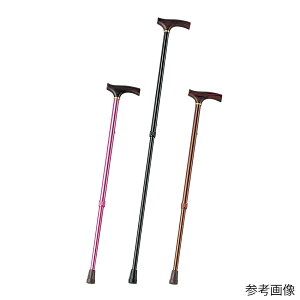 �J���[�X�e�b�L�i�L�k���j�u���E�� AS-225-BR-21DGN