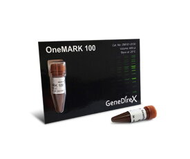 DNA電気泳動マーカー OneMARK 100 DM101-0100