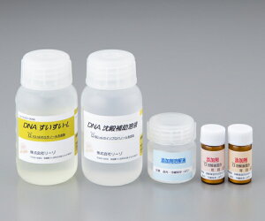 DNAo@ȋAqpj DS-0006 []