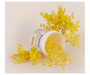 I[gN[upEL܁@~U̍@50 321300 C^[TCGX