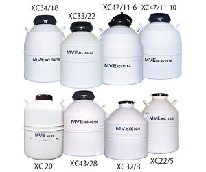 t̒fۑe@SIGNATURE XC 20 MVE-20997986 `[g