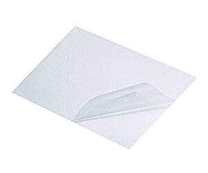 ff@prSe[v Жʃe[v 0.1mm 9795R