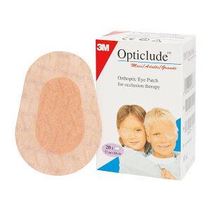 y24ZbgzX[GWp IveBN[hACpb` X^_[hTCY 1539(X^_[h)20}C