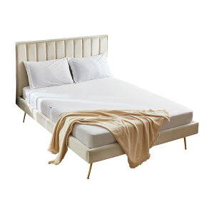 PROTECTEAEBED }bgXveN^[ PROTECTEAEBEDPAB-CL-10028(zCg)