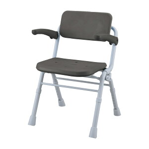 �p�i�\�j�b�N �V�����[�`�F�A�iAir�j�~�h��SP PN-L41831BR(���J�u���E��)