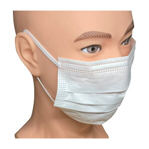 y50Zbgzt@[XgCg tBbgg}XNɑ FR-648(zCg)50}CC