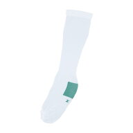 日本メディカルネクスト 弾性ストッキング レグファイン Mサイズ ZDM001-M(M)10ソク