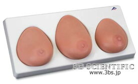【送料無料】【無料健康相談 対象製品】世界基準 3Bサイエンフィティック社乳房検診シミュレーター・3点セット 人体模型