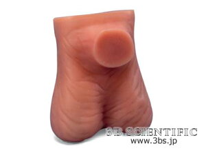 �y���������z�y�������N���k �Ώې��i�z���E� 3B�T�C�G���t�B�e�B�b�N���Ίی��f���f�� �l�̖͌^