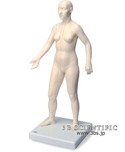 yzyNk ΏېizE 3BTCGtBeBbNIofA l̖͌^
